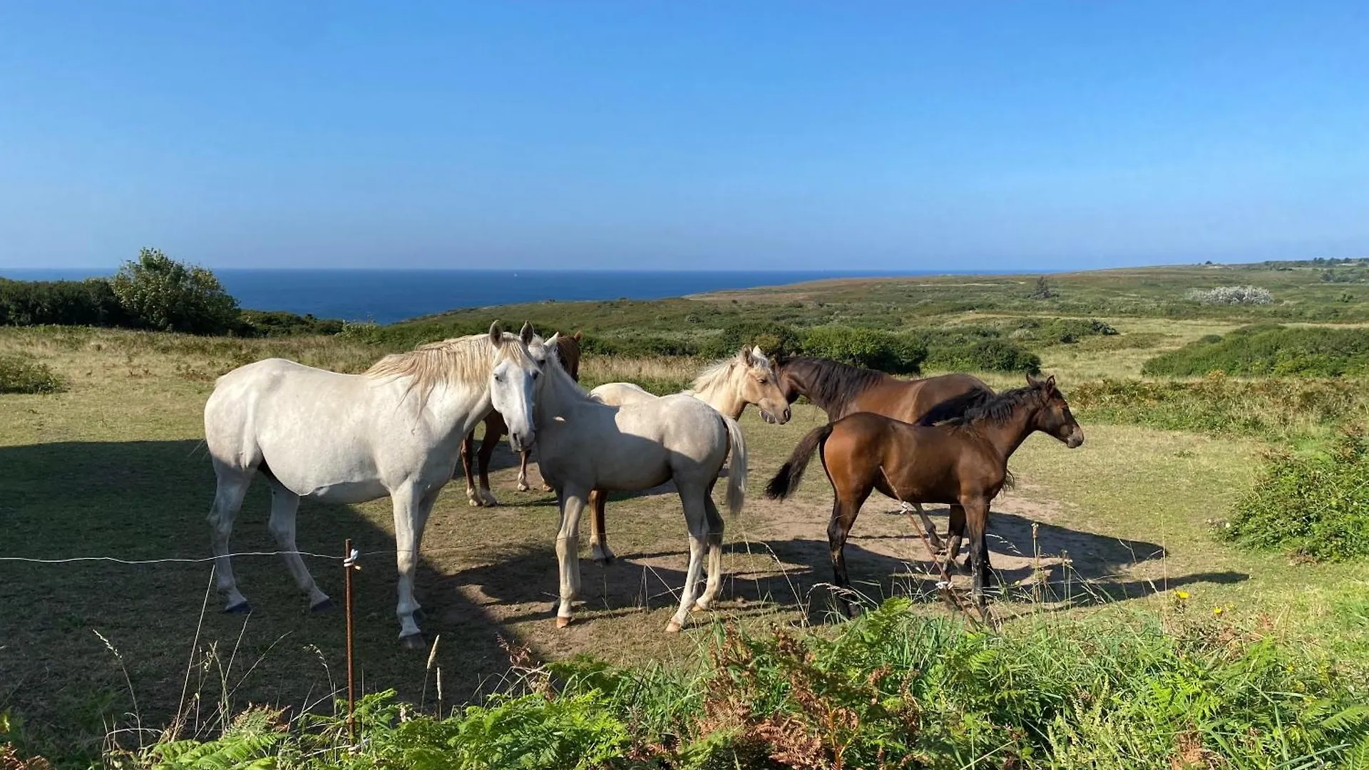 度假居 Ferme Renovee 300M De La Mer Pointe Du Raz Jusqu'A 9 Couchages Location 7 Jours Du Samedi Au Samedi Minimum 普洛戈